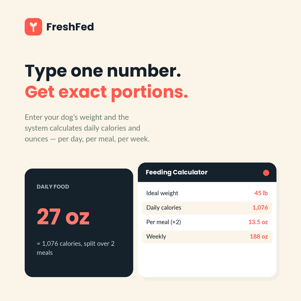 The Fresh Feeding Operating System — Raw & Fresh Dog Feeding Calculator + Trackers